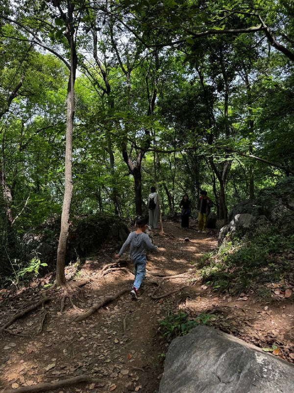 周末行山活动 强身又健体周末行山活动 强身又健体