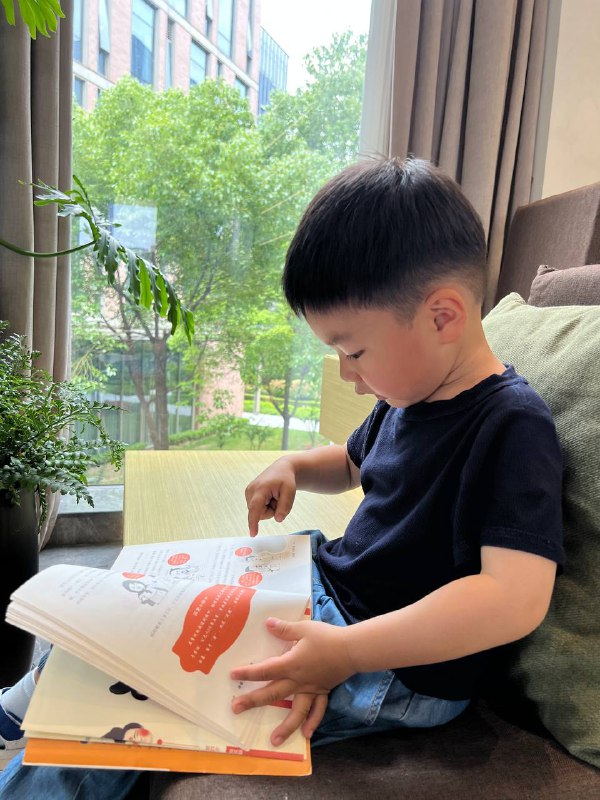 假装在看书假装在看书