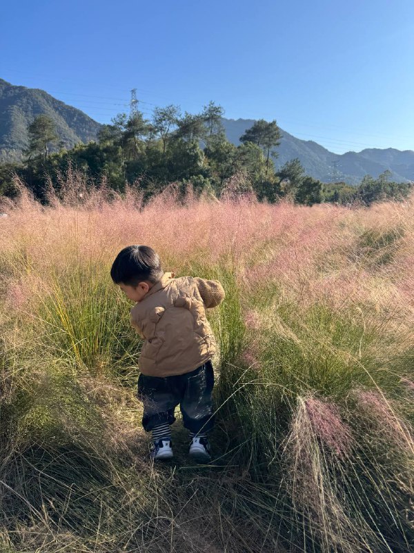 #玩耍 桐庐#玩耍 桐庐