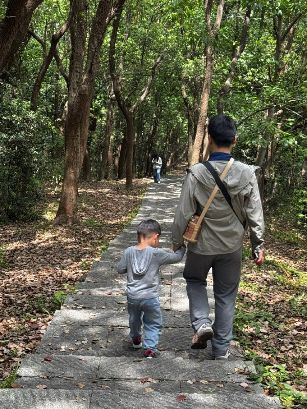 周末行山活动 强身又健体周末行山活动 强身又健体