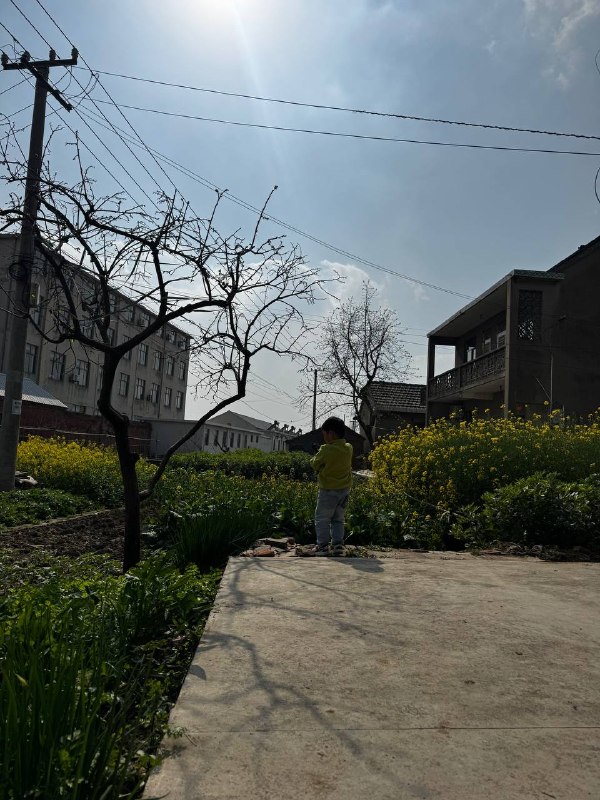 清明假期清明假期