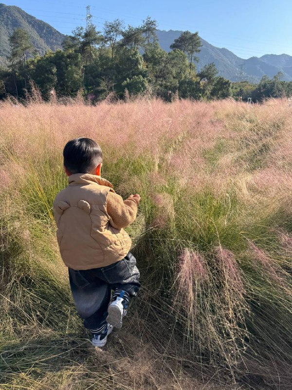 #玩耍 桐庐#玩耍 桐庐